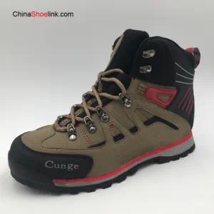 High Cut Good Quality Sports Hiking Shoes Comfortable Design
