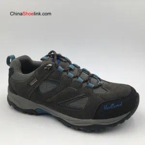 Wholesale Popular Mens Outdoor Sports Walking Shoes